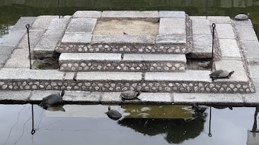 四天王寺の亀の池