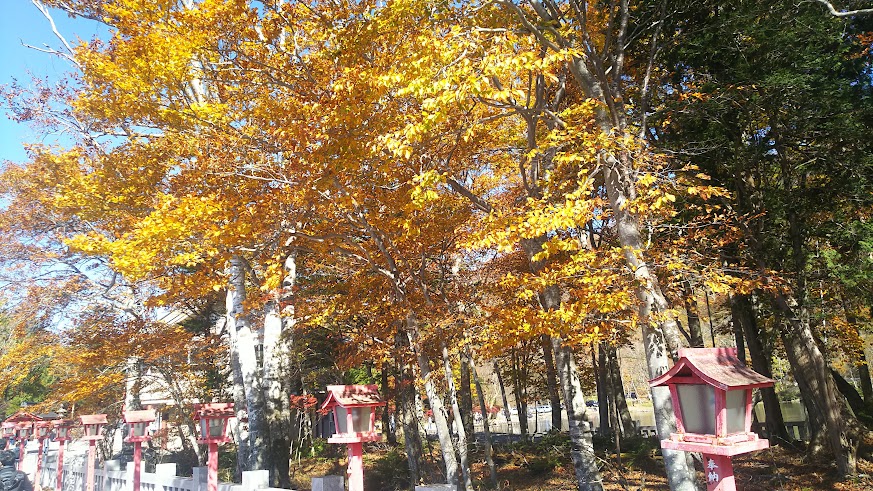 赤城神社の紅葉