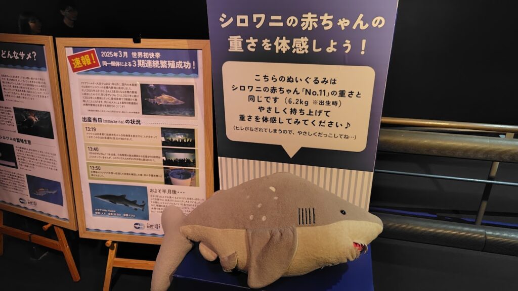 アクアワールド