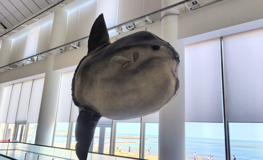 アクアワールド