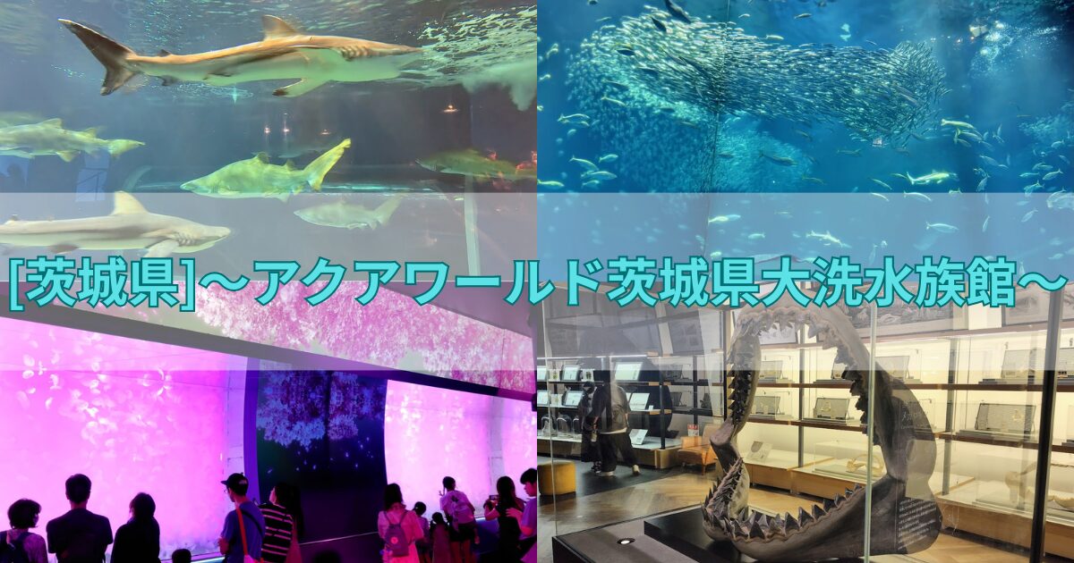 アクアワールド茨城県大洗水族館