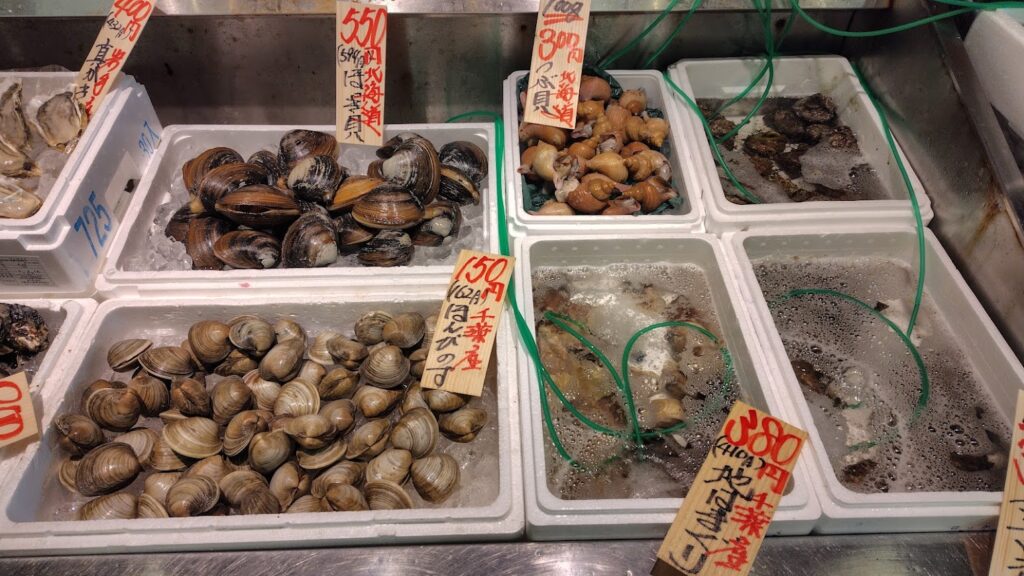 日立おさかなセンター